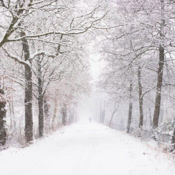 Sneeuw in de Vakantie: Wat te Doen? Plan een Last-minute Fotoshoot! Kleij en Co Tolbert